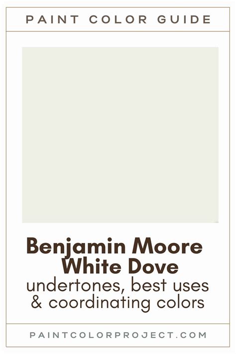 Benjamin Moore White Dove A Complete Color Review The Paint Color