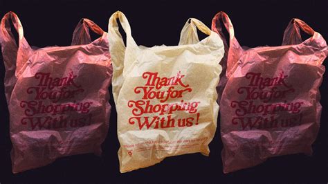 New York States Plastic Bag Ban Is Finally Being Enforced Grist