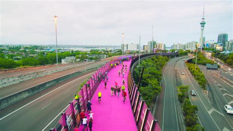 This Pink Cycling Lane In New Zealand Amazed The World Lifegate