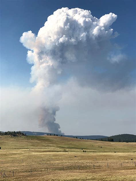 Crews Working To Suppress Fire In Bighorn Mountains Powell Tribune