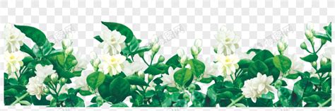 Pikbest ให้การดาวน์โหลด องค์ประกอบ png ฉากจริงของดอกมะลิสด psd ที่น่าสนใจ ชุดรูปแบบของ. ดอกมะลิ ดาวน์โหลดรูปภาพ (รหัส) 400712886_ขนาด 20 M_รูปแบบ ...