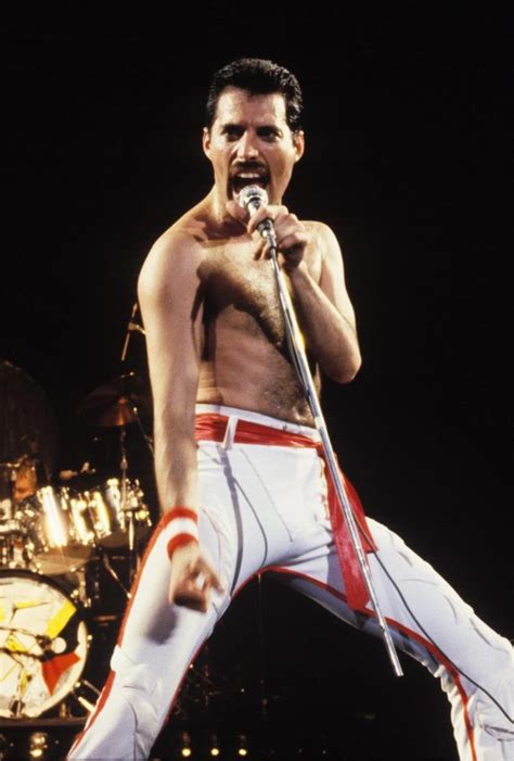 ☆ freddie mercury last days: On anniversary of death, 7 artists Freddie Mercury ...
