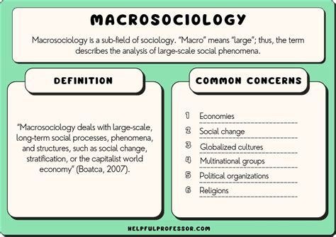 Macrosociology Definition And 6 Great Examples 2024