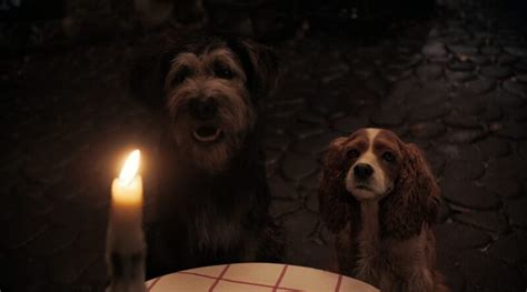 ‘lady And The Tramp 2019 A Non Spoiler Review The Cinema Spot