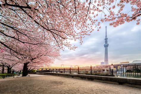 Wir haben die besten, kostenlosen sehenswürdigkeiten in tokio für dich bereit gestellt. Tokio Sehenswürdigkeiten: Meine Top 15 | Urlaubsguru