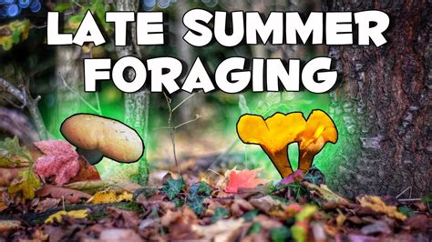 Michigan Foraging Late Summer Mushrooms Youtube