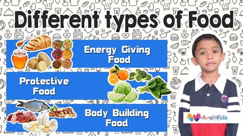 Types Of Food Kids Educational Videos Science For Grade 2 Food