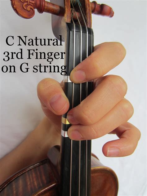Violin Fingering C The Violin