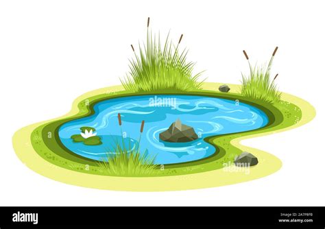Cartoon Garden Pond Stock Vector Image And Art Alamy
