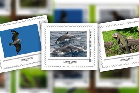 Huit Timbres Dun Collector Biodiversité Sont Consacrés Aux Espèces