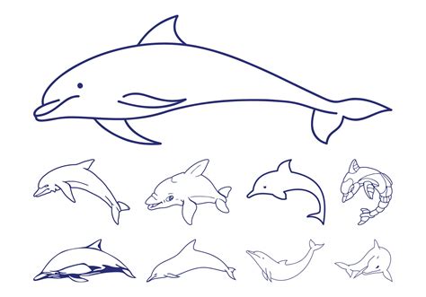 Dolphins Outlines Download Free Vector Art Stock Graphics And Images