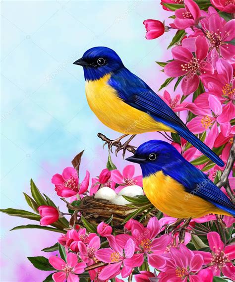 Two Bright Blue Birds Sitting On A Branch Of Apple Blossoms Red