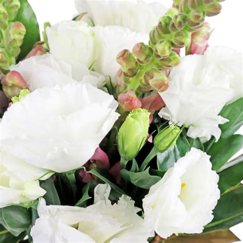 Florist with same day flower delivery service in sydney australia. Cat's Meow | Flower Delivery Sydney