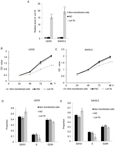 let‑7b acts as a tumor suppressor in osteosarcoma via targeting igf1r