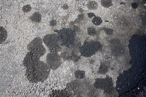 They are even painted if you have noticed. Oil Stained Asphalt Texture Picture | Free Photograph ...