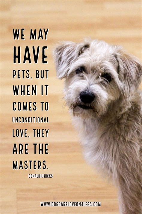 Dog Quote We May Have Pets Dog Dog Quotes Inspirational Quotes
