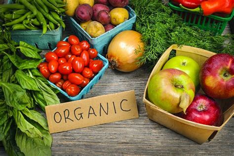 Alimentos Orgánicos ¿qué Son ¿cuáles Son Sus Beneficios
