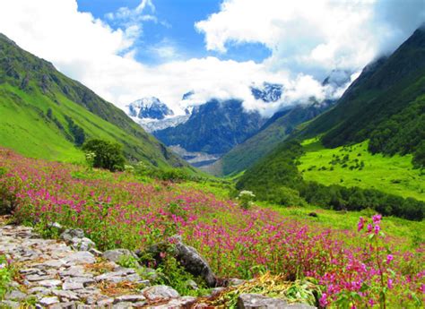 With its alpine flowers blooming during summers, you might wonder about valley of flowers best time periods. Valley of Flowers 2020, #1 top things to do in chamoli ...