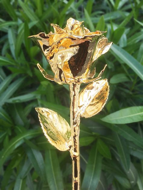 24k Gold Dipped Real Rose She Will Treasure This Rose Forever Gold