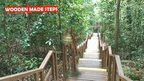 A great place for nature lovers and adventure seekers sobre sungai sedim recreational forest. TREE TOP WALK, SINGAPORE - YouTube