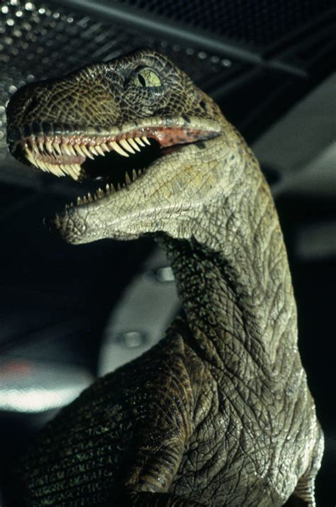 Jurassic Park Raptor Hot Sex Picture