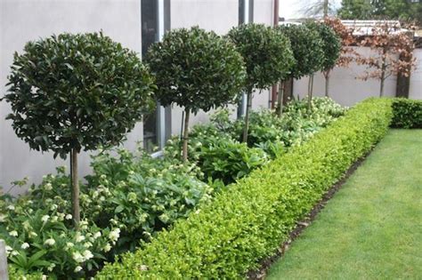 Give Your Home A Fresh New Look With New Landscaping Farmer Life