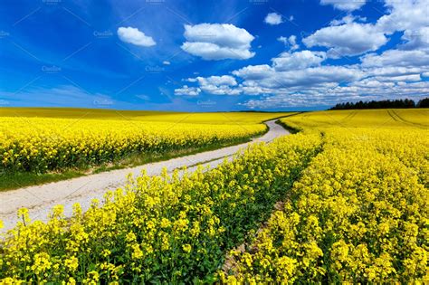 Countryside Spring Field Landscape High Quality Nature Stock Photos