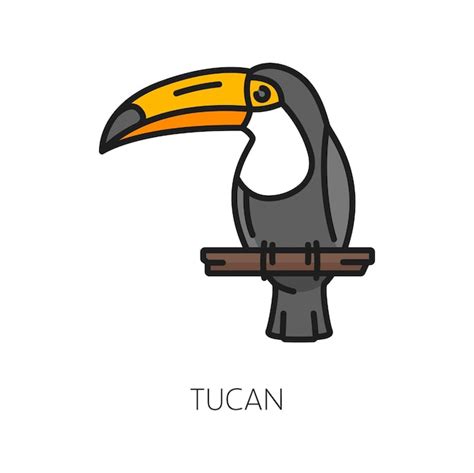 Premium Vector Toucan Bird Argentina Parrot With Massive Bill