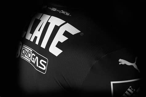 Las rayadas, lograron el campeonato de la apertura 2019 por primera vez en su historia, celebra su primer campeonato con la gorra new era 9forty rayadas campeonas 2019. Terceira camisa do Rayados de Monterrey 2021 PUMA » Mantos ...