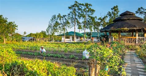 10 Best Destinations For Farm Tours In The Philippines Guide To The