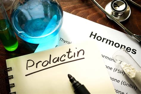 4 Best Prolactin Inhibitors Reduce Refractory Period And Increase Libido