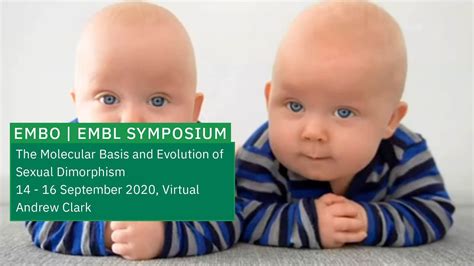 Keynote Lecture Sexual Dimorphism In Polygenic Risk Youtube