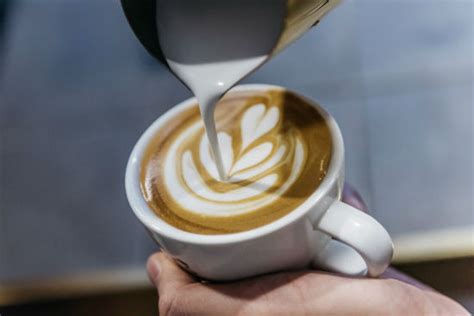 Those planted in commercial potting soil had green leaves, and those not surprisingly, commercial potting soil works better than coffee grounds in supporting seed germination. Does coffee have calories and, if so, how many? - Metro US