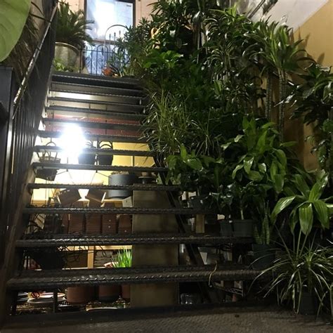 We have also made it easy to choose a gift including a balloon or have the flowers arrive already in a vase. PlantShed New York Flowers - Flower Shop in Upper West Side