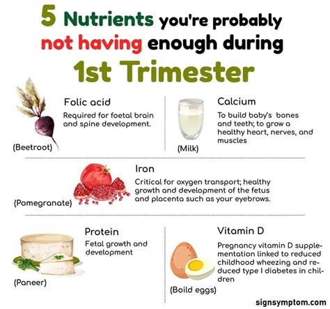 Here are 10 of the best foods to eat when pregnant, and why. 10 Foods to Eat when Pregnant First Trimester » SignSymptom