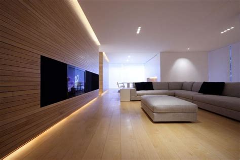22 Living Rooms With Light Wood Floors Pictures