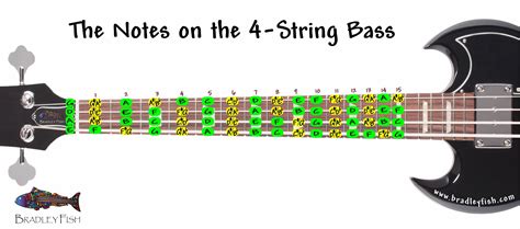The Notes On The 4 String Bass Worksheet Bradley Fish
