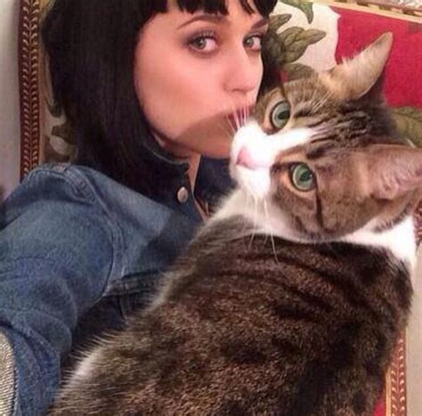 katy perry celebrities with cats cats katy perry
