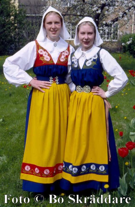 Swedish Dress Swedish Clothing Traditional Outfits