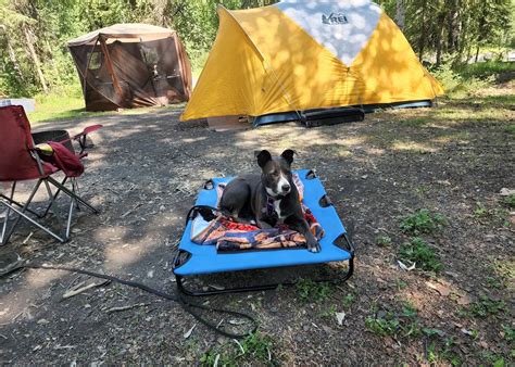 Eagle River Campground - Chugach State Park Camping | The Dyrt