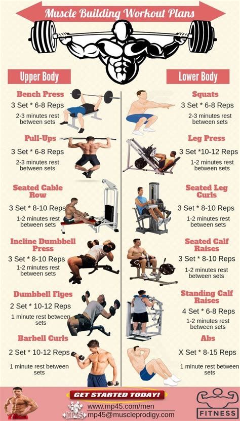 Pin By Jose Acosta On Fitness Muscle Building Workout Plan Muscle Building Workouts Workout