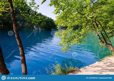 Lake With Clear Turquoise Water National Park Plitvice Lakes C Stock