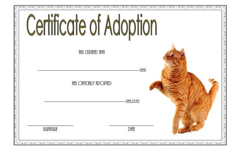 cat adoption certificate templates   update designs