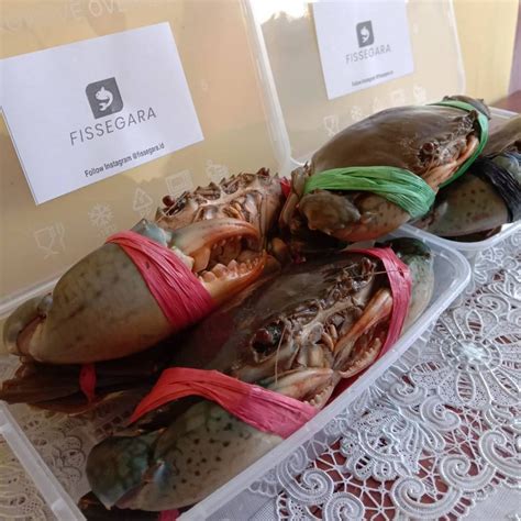 Meningkatnya bisnis rumah makan yang menyajikan makanan dengan cita rasa dan jenis yang. Nikmatnya Ikan Segar Masak Enak Di Rumah Aja - ASEDINO