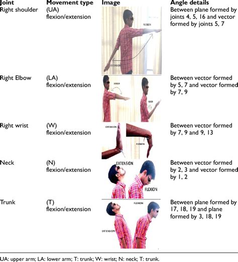 Anatomical Movements And Corresponding Joint Angles Download