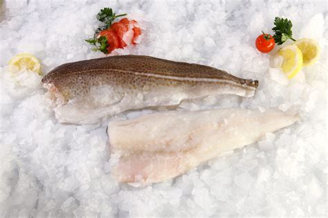 Hake Fillet Cod Gaia Frozen Food