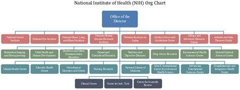 Health Information Management Organizational Chart
