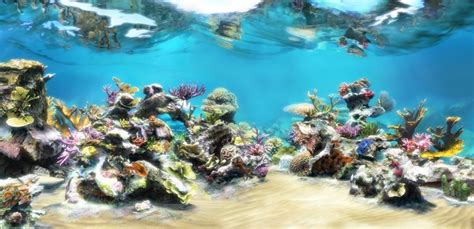 Download Sim Aquarium 3 Demo