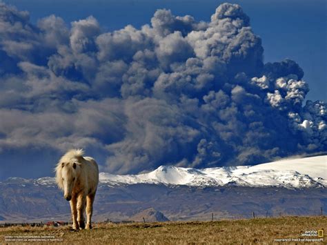 National Geographic Volcano Ash Iceland Horse Wallpapers Hd