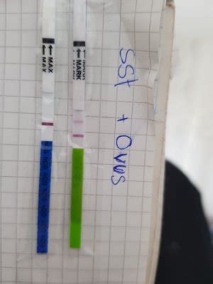 Ovulationstest dm, rossmann, müller oder online kaufen? Ovu bei es+5 positiv? - Kinderwunsch - Seite 2 - BabyCenter